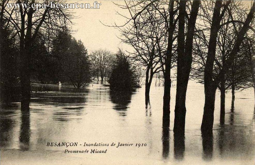 BESANÇON - Inondations de Janvier 1910 - Promenade Micaud